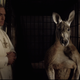 Image for article titled The Young Pope Is a Real Housewife